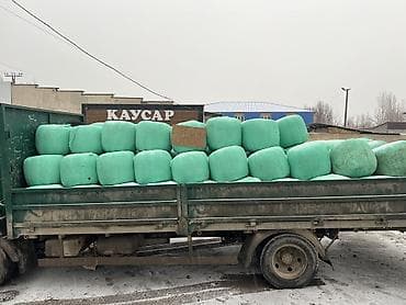 элита арашан: 🌿 ЖАНЫ СИЛОС САТЫЛАТ! 🌿 📍 Дареги: Арашан айылы (Стрельник), борбору — 4