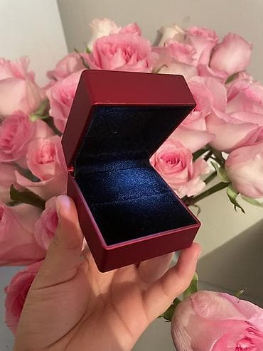 чехол на хр: Коробочки для ювелирных изделий с подсветкой - Назначение: футляры — 6