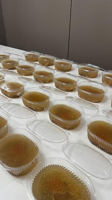 кашка су: Холодец — 1