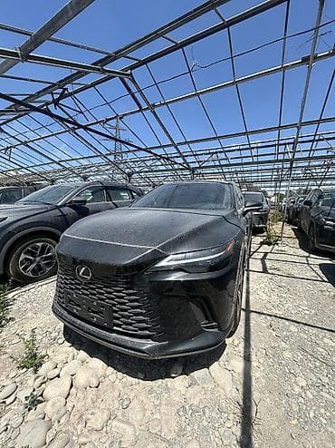 Lexus RX 2: 2025 г., 2 л, Автомат, Бензин, Кроссовер — 2