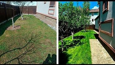 пашем огород мотоблоком: Уборка территории, Стрижка газона — 2