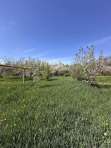 готовый тандыр: 📍В Сокулуке продается дом на участке 15 соток, 85 кв.м. 🏡Дом с — 4