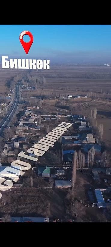 фрунзе шевченко: 200 соток, Для бизнеса — 1