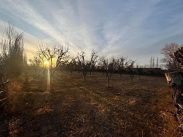 жер тошо: 15 соток, Для сельского хозяйства, Красная книга — 4