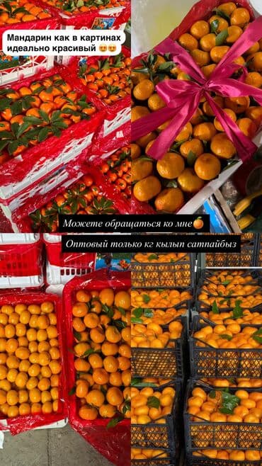 фисташковая паста купить бишкек: Мандарины Оптом, Самовывоз — 1