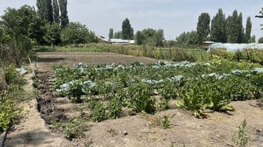 купить дом в ынтымаке: Дом, 32 м², 3 комнаты, Собственник, Старый ремонт — 5