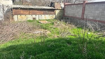 дома массаж: 2 соток — 6