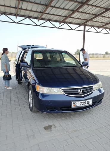 Honda Odyssey: 2003 г., 3.5 л, Автомат, Бензин, Минивэн