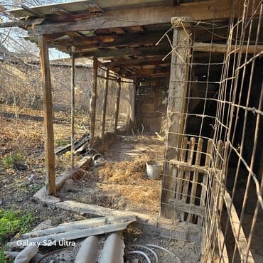 тамчы аренда дом: Дача, 41 м², 3 комнаты, Собственник, Старый ремонт — 5