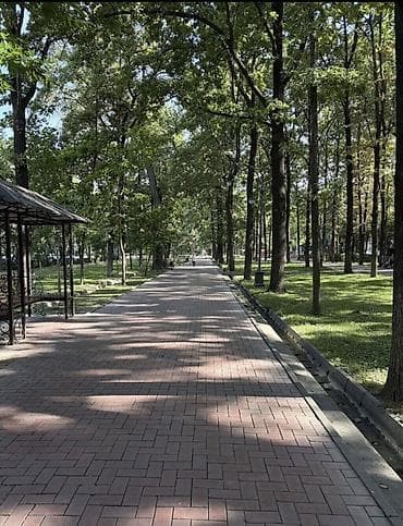 1 комната, 33 м², бульвар Эркиндик Индивидуалка, 2 этаж, Косметический ремонт