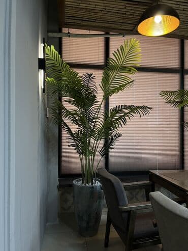 шкаф для одежды новый: 🌿 Мы — Mayram Decor KG, ваш надежный партнёр в создании эффектных и — 24