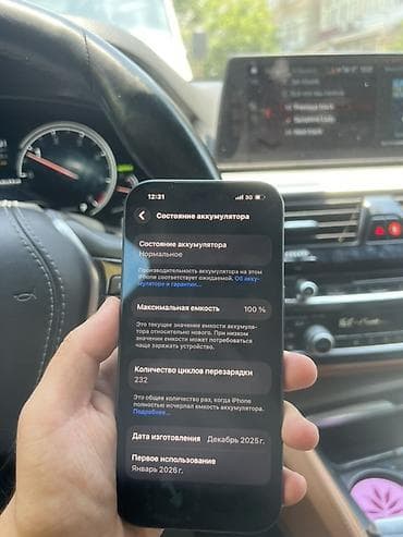IPhone 17 Pro, 256 ГБ, 100 %