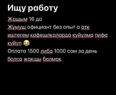 Официант. Без опыта