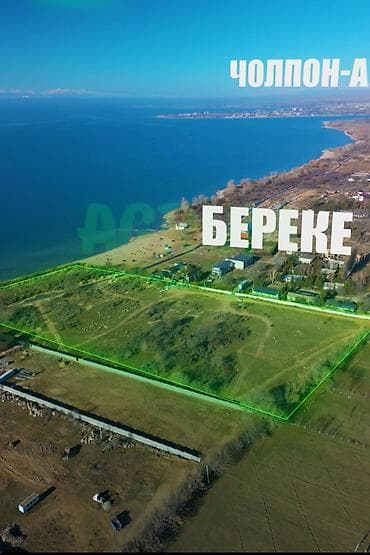 теплый дом: 300 соток, Для бизнеса, Красная книга — 1