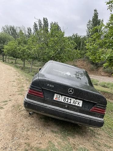 Mercedes-Benz W124: 1992 г., 2.5 л, Механика, Дизель, Седан