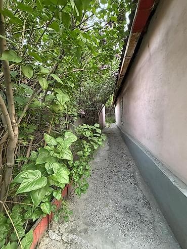 3: Продаётся участок с домом и хозяйственными постройками. Описание — 3