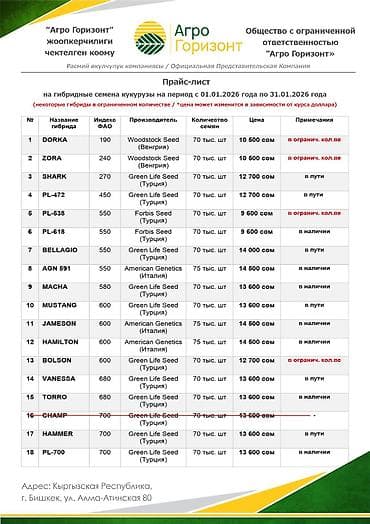 сена тук: Семена кукурузы Greenlife — силосные и поздние гибриды для высокой — 4