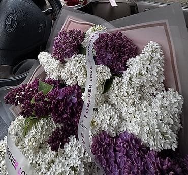 сирени: Букет из сирени - Состав: пышные ветки сирени двух оттенков — — 2