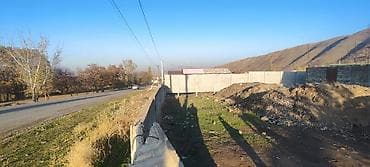 участок гоин: 5 соток, Для сельского хозяйства, Красная книга — 4