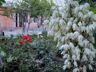 бишкек продаю дом село дордой 2: Дом, 1441 м², 12 комнат, Собственник — 10