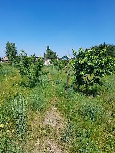 ак бата ж м: Продаётся дом 5 комнат + времянка 3 комнаты, отопление электричество и — 10