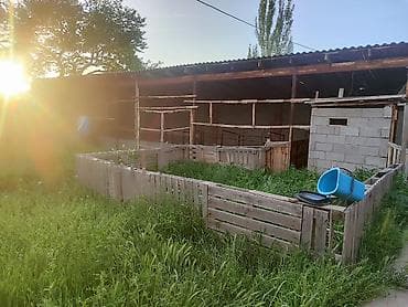 каркасные бассейны б у: Продаётся жилой дом с хозяйственными постройками и огороженным двором — 9
