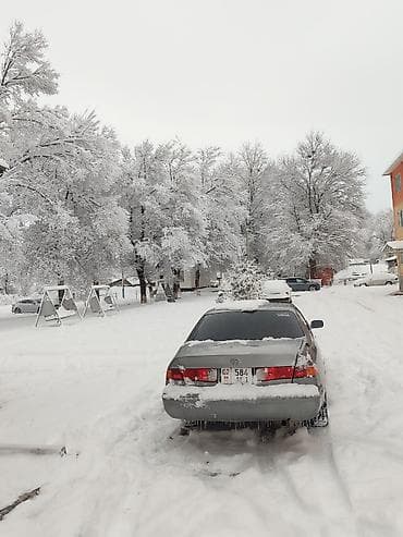 трос ручника хайландкр: Toyota Camry: 2000 г., Автомат, Бензин, Седан — 6