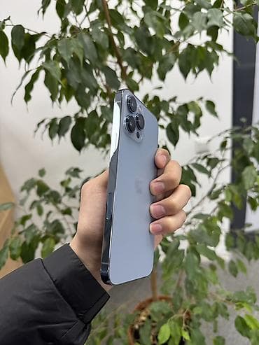 iphone 8s plus: IPhone 13 Pro Max, 128 ГБ, Sierra Blue, Коробка, 76 % — 6