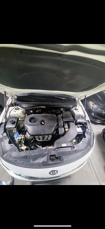 2019: Kia K5: 2019 г., Автомат, Газ, Седан — 5