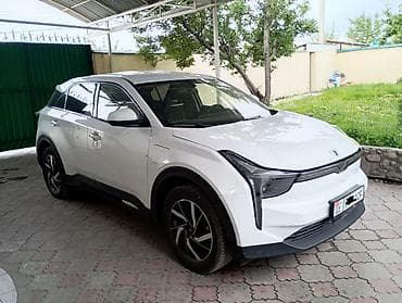 Zeekr : 0.1 - engine capacity л | 2022 г. Кроссовер