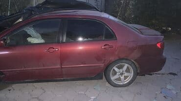 все для салонов красоты дордой: На разбор — 4