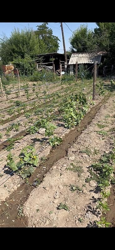 участок в караколе: 8 соток Для бизнеса — 2