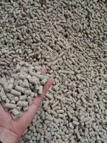 продажа щенков немецкой овчарки с документами в бишкеке: Дрожжи Кормовые сырой протеин 46% Так же есть Соевый шрот сырой — 1