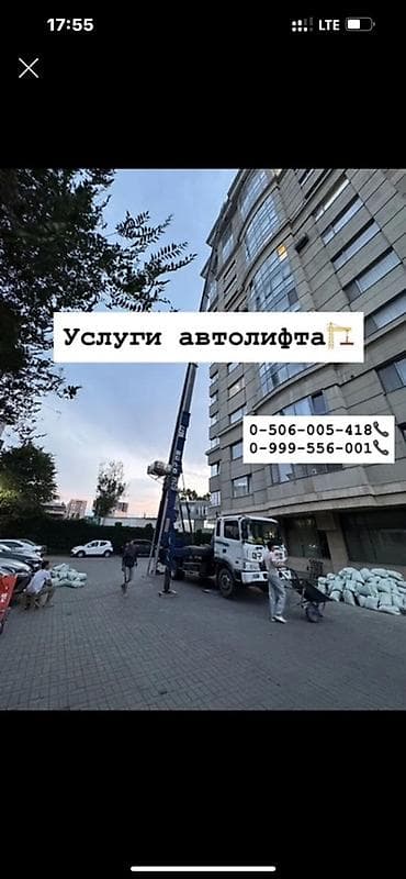 Стрела 65 м, 250 т