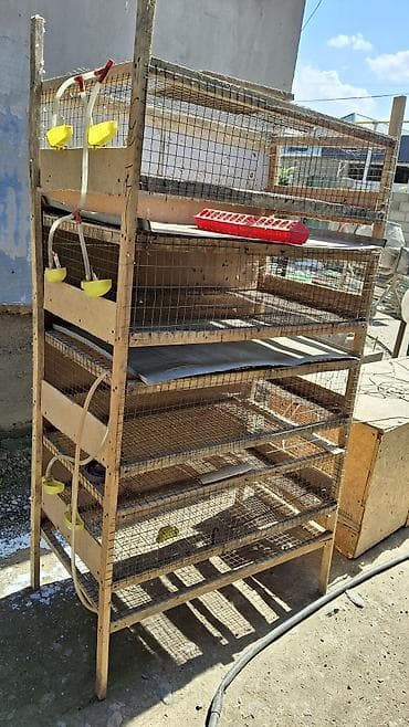 откорм база: Многоярусная клеточная батарея для птицы + брудер Описание: - — 1