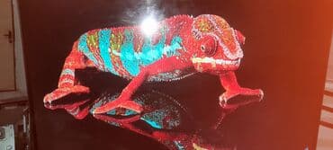 dell optiplex: Компьютер, ядер - 2, ОЗУ 4 ГБ, Для несложных задач, Б/у, Встроенная видеокарта, HDD — 6