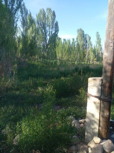 уборка садового участка: СРОЧНО ПРОДАЮ участок 1,5гаили меняю на квартиру в Бишкеке. Участок — 3