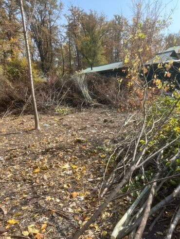 леса строительные купить: Дрова — 1