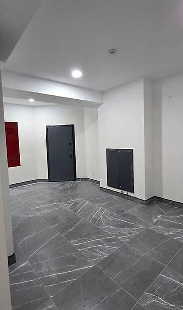 квартиры 1 комн: 1 комната, 47 м², Элитка, 4 этаж — 7