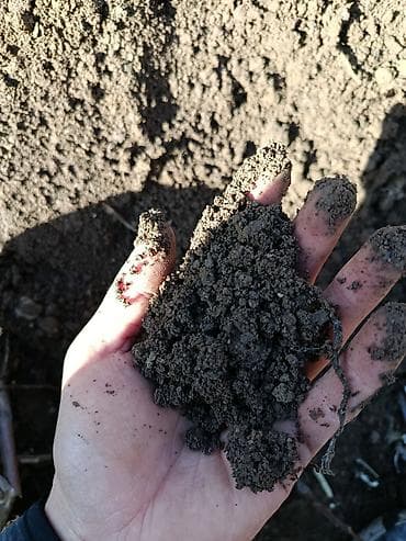 продам орехи: Плодородный грунт (чернозём/садовая земля)Продам оптом есть около 8 — 2