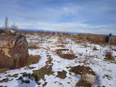 дом на иссык куле купить: 100 соток, Для сельского хозяйства, Красная книга — 2