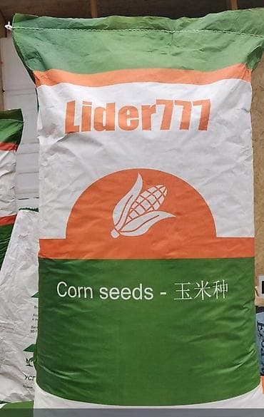 корм форель: Жугору үрөндөрдүн түрлөрү, гарантия всхожесть 200%
ЛИДЕР 777 оргинал — 1