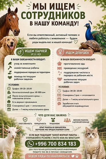 essens вход: 🐾 МЫ ИЩЕМ СОТРУДНИКОВ В НАШУ КОМАНДУ! 🐢🦚 Если вы ответственный — 1