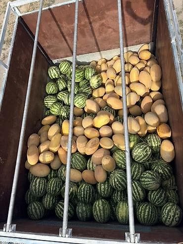 Продукты питания: Арбузы Оптом, Платная доставка — 1