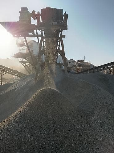 белые грибы: Отсев, Для фундамента, Оптом, В розницу, Камаз — 3