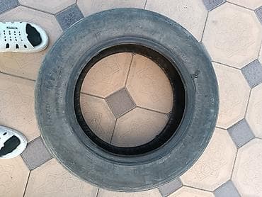 купить мотошины: Шины 195 / 55 / R 15, Зима, Пара, Легковые, Dunlop — 9