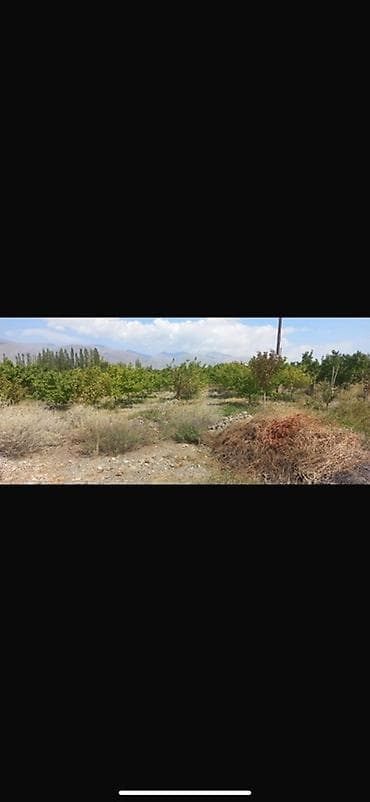 продажа земли под производство: 20 соток, Для сельского хозяйства — 1