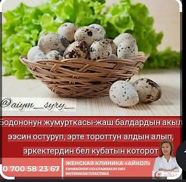 мандарины турция или где купить фрукты оптом: Перепелиные яйца любом количестве 

Подойдёт для инкубации — 2