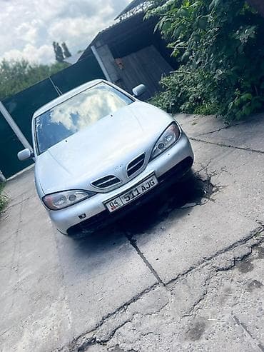 forester sg9: Nissan Primera: 2000 г., 1.8 л, Механика, Бензин, Седан — 7