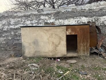 ХДФ: Будка для собаки из плит OSB/фанеры - Просторная будка прямоугольной — 3